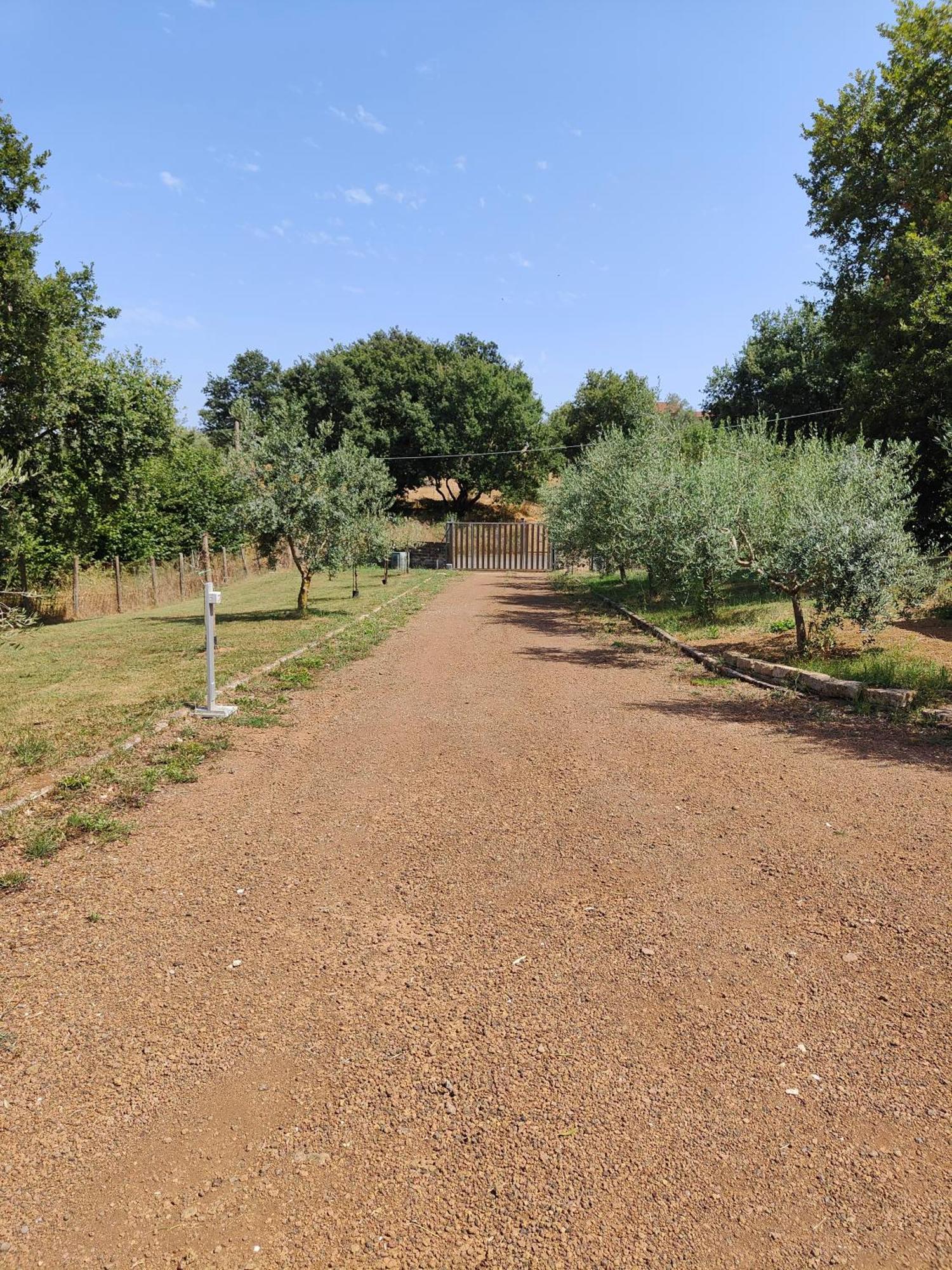 Il Melarancio B&B Monterosi Bagian luar foto